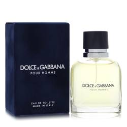Dolce & Gabbana Cologne for Men – Fresh Spicy Eau De Toilette