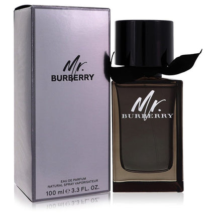 Mr Burberry Eau De Parfum Spray By Burberry 3.3 oz Eau De Parfum Spray Eau De Parfum Spray for men product image
