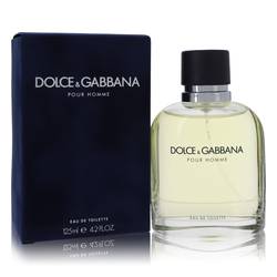 Dolce & Gabbana Cologne for Men – Fresh Spicy Eau De Toilette