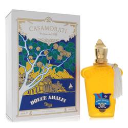Casamorati 1888 Dolce Amalfi Perfume by Xerjoff for Men & Women – Sweet Spicy Oriental Fragrance